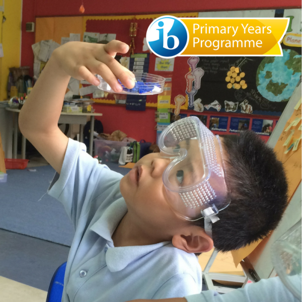 IB PYP – Primary Years Programme